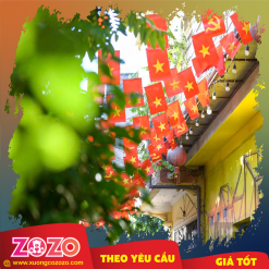 Cờ dây tổ quốc và cờ Đảng